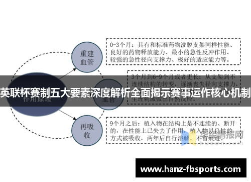 英联杯赛制五大要素深度解析全面揭示赛事运作核心机制