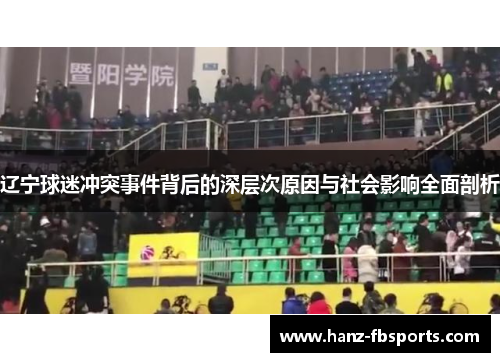 辽宁球迷冲突事件背后的深层次原因与社会影响全面剖析