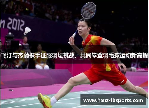 飞汀与杰蔚携手征服羽坛挑战，共同攀登羽毛球运动新高峰