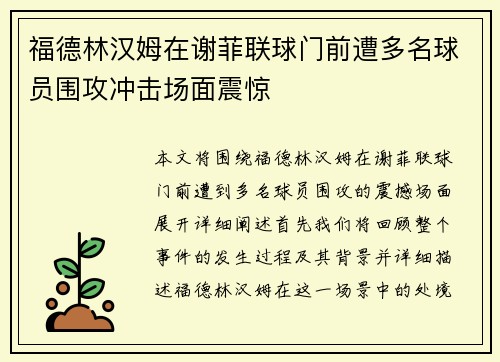福德林汉姆在谢菲联球门前遭多名球员围攻冲击场面震惊